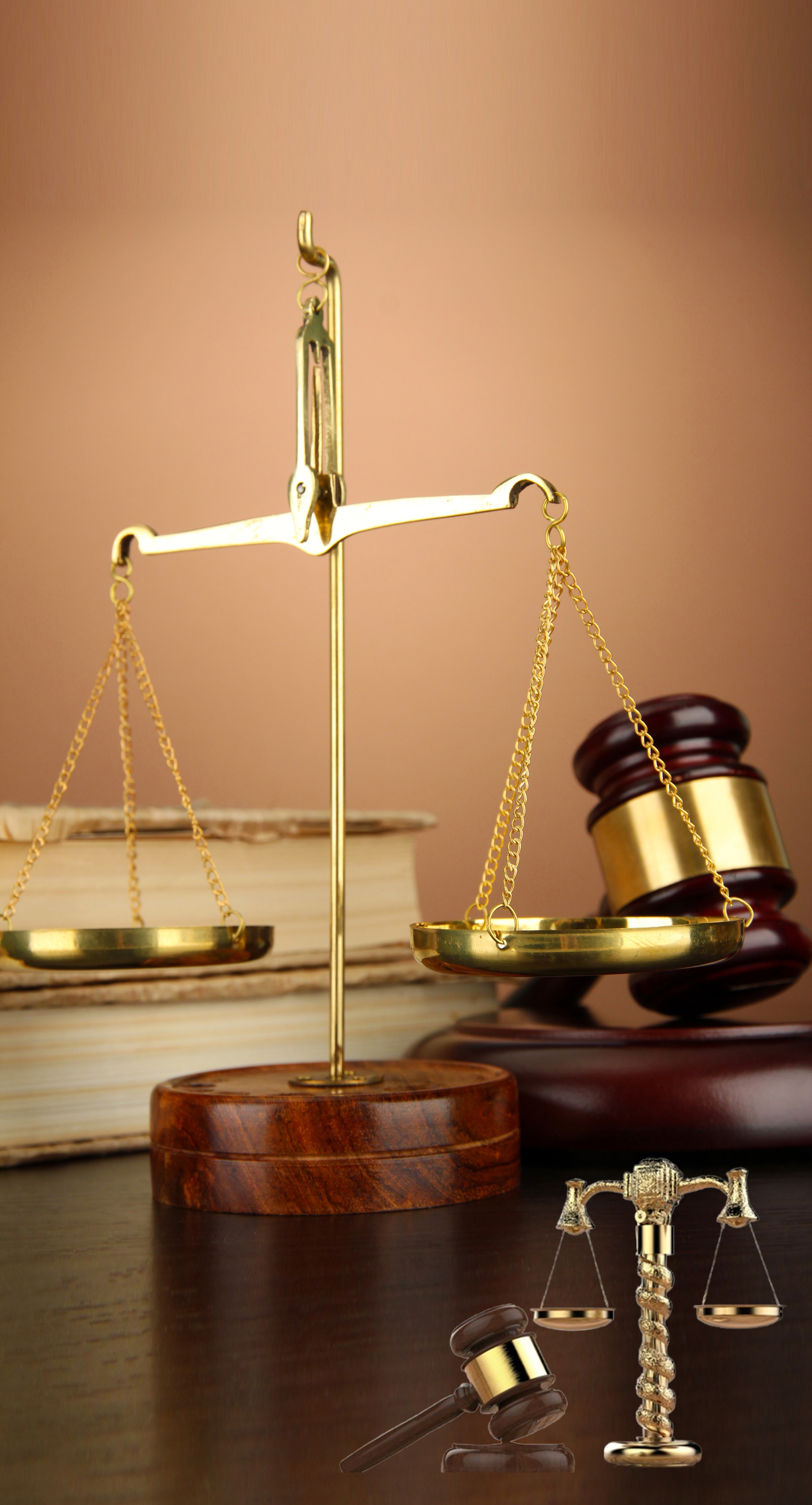 expert employment law