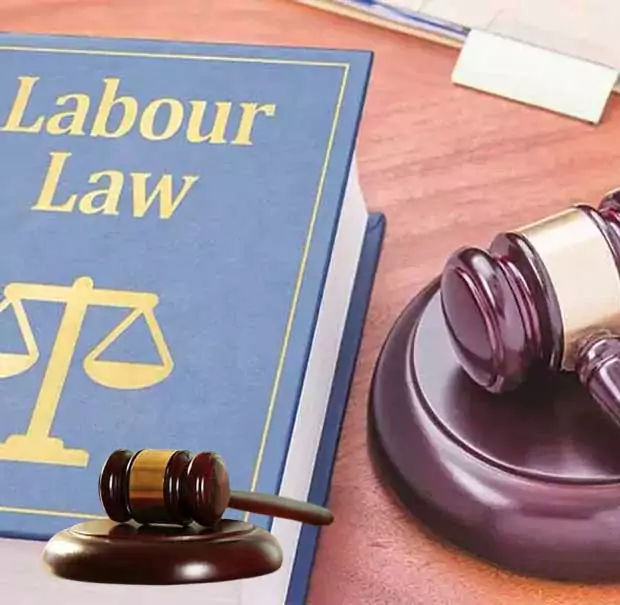 expert employment law